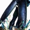 ドラゴンボール - セル 1/6・1/4 スタチュー ET Studio 11 ドラゴンボール - セル 1/6・1/4 スタチュー ET Studio